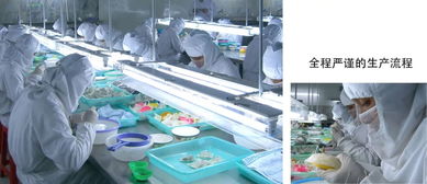 溯源安心，共创财富 天悦燕印尼019工厂直招代理与批发加盟合作全解析
